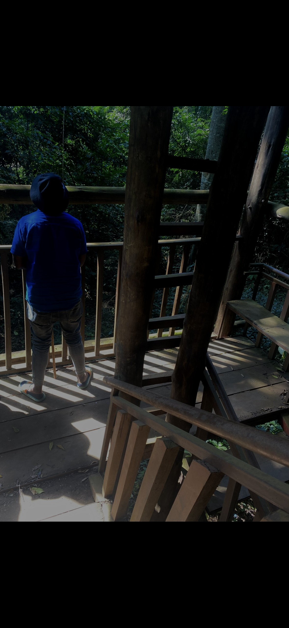 Uganda rainforest trail